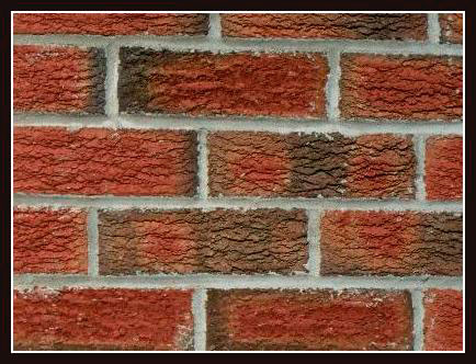 Figure 1d. Bricks