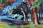 College_Pt_Park-