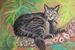 Florida_Cat_1-