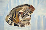 Florida_Cat_2-