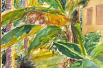 Florida_Fronds-