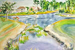 Florida_Landscape-